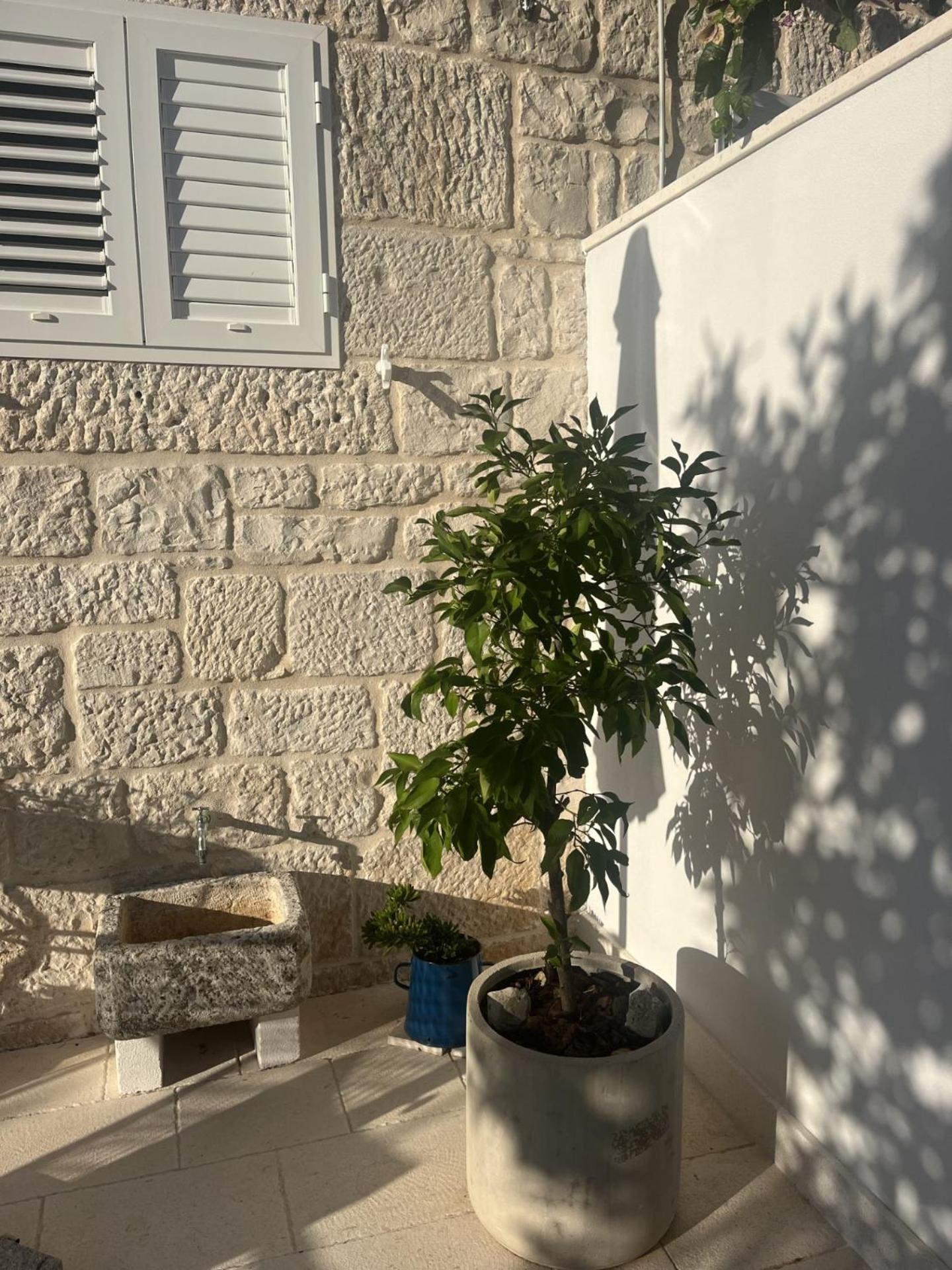 Apartment On The Sunny Side Korčula Exterior foto